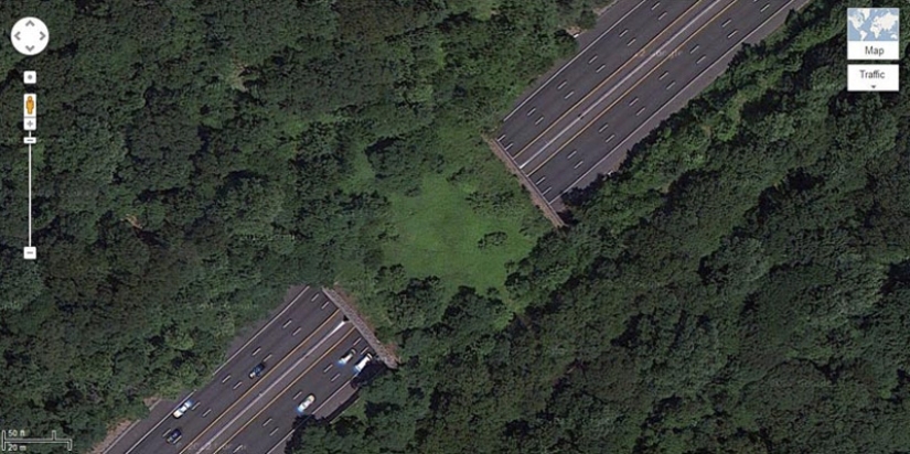 Pedestrian bridges for animals