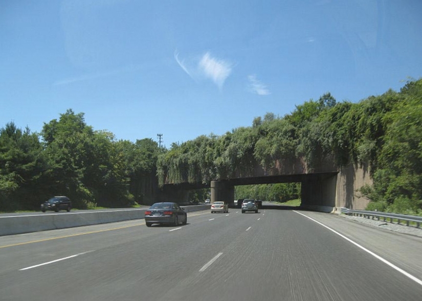 Pedestrian bridges for animals