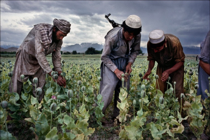 People at work: photo by Steve McCurry