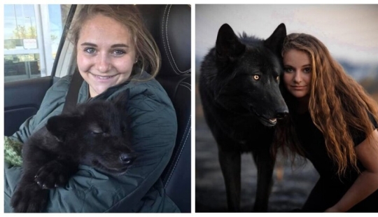 People show how their pets have changed since the first meeting