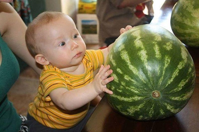 Pequeños pastafaris y sus colegas en religiones alimentarias