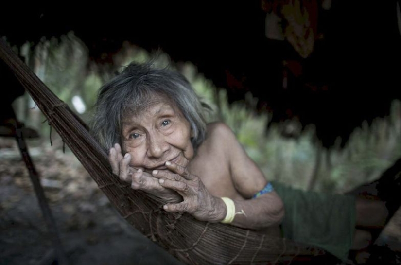 Perdidos en la selva: Cómo vive la gente de ava, la gente más reservada del planeta