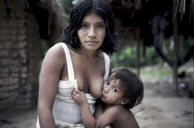 Perdidos en la selva: Cómo vive la gente de ava, la gente más reservada del planeta