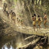 Perdidos en la selva: Cómo vive la gente de ava, la gente más reservada del planeta