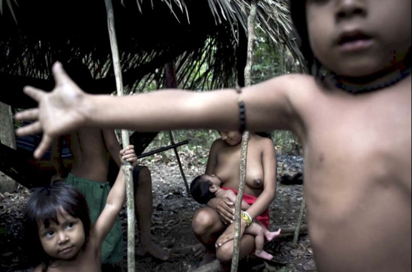 Perdidos en la selva: Cómo vive la gente de ava, la gente más reservada del planeta