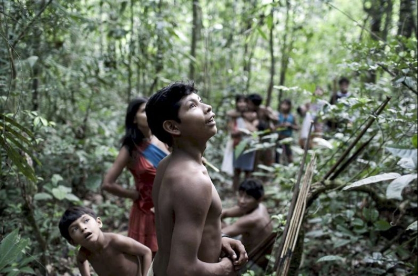 Perdidos en la selva: Cómo vive la gente de ava, la gente más reservada del planeta