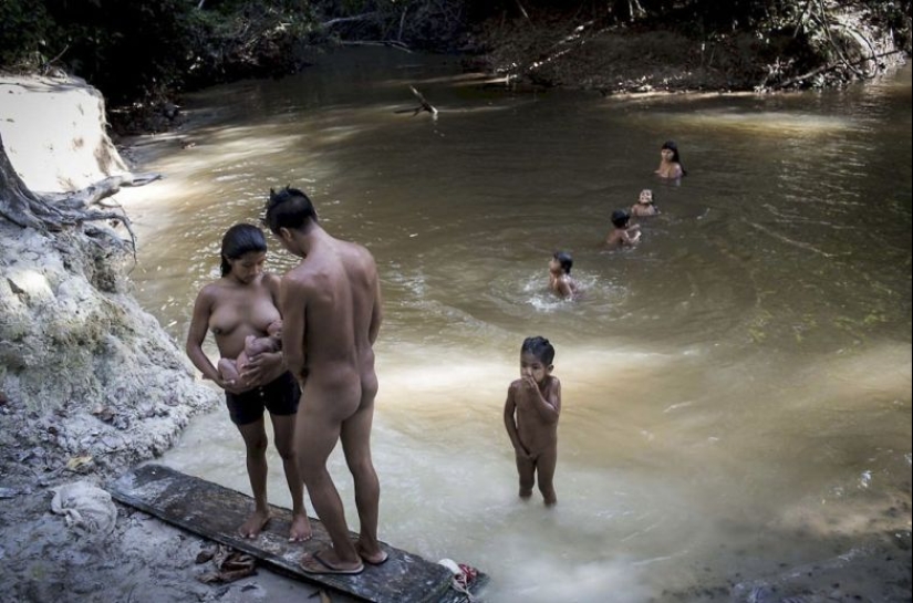 Perdidos en la selva: Cómo vive la gente de ava, la gente más reservada del planeta