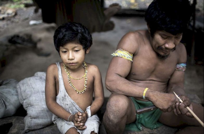 Perdidos en la selva: Cómo vive la gente de ava, la gente más reservada del planeta