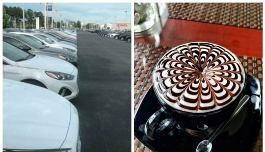 Perfect to the point of outrage: 25 photos that will delight perfectionists Perfect to the point of outrage: 25 photos that will delight perfectionists