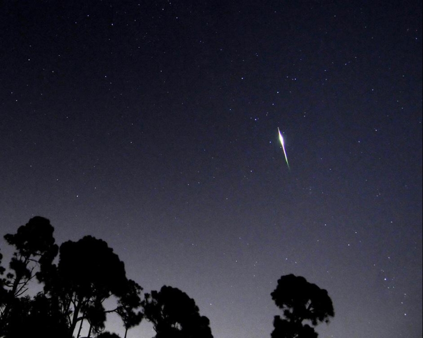 Perseid meteor shower Pictolic