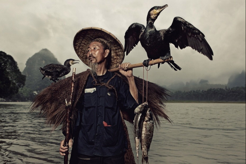 Pesca tradicional china con cormoranes