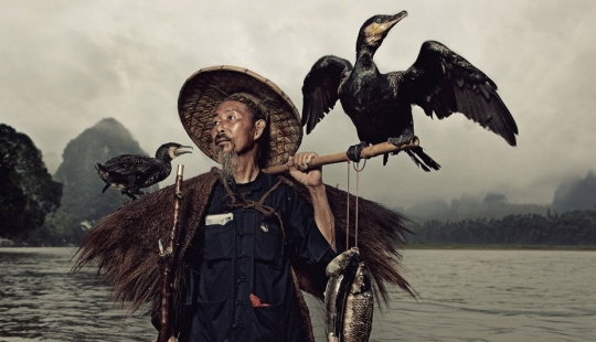 Pesca tradicional china con cormoranes