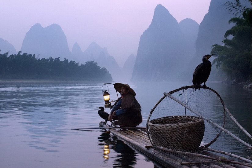 Pesca tradicional china con cormoranes