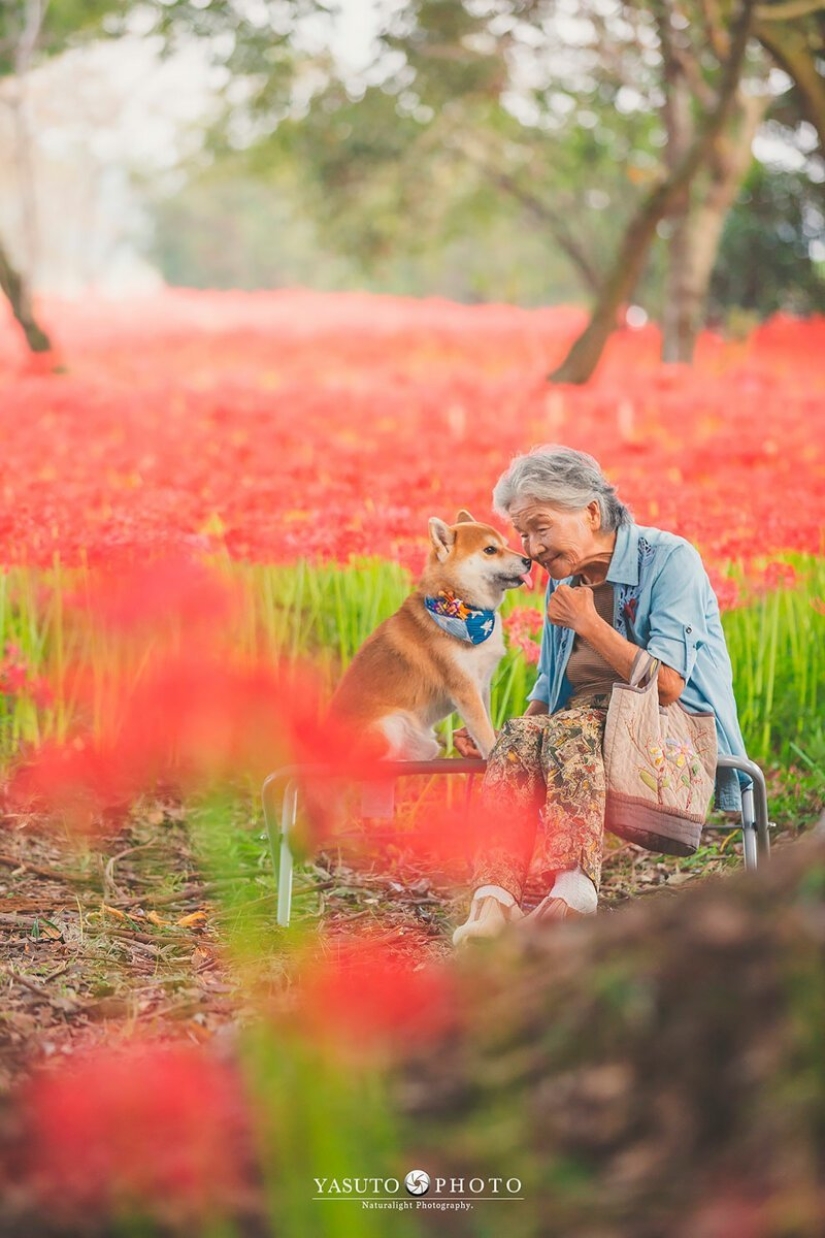 Photographer from Japan makes touching photos of his grandmother and dog