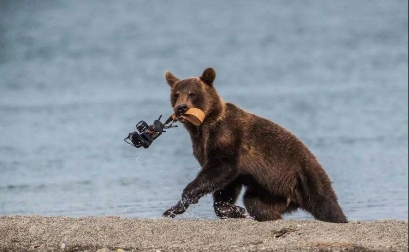 Photographs of all that will make your day brighter and your smile wider