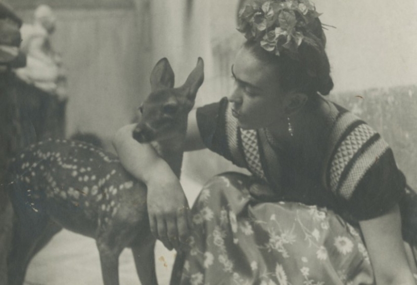 Photos and secret love letters of Frida Kahlo