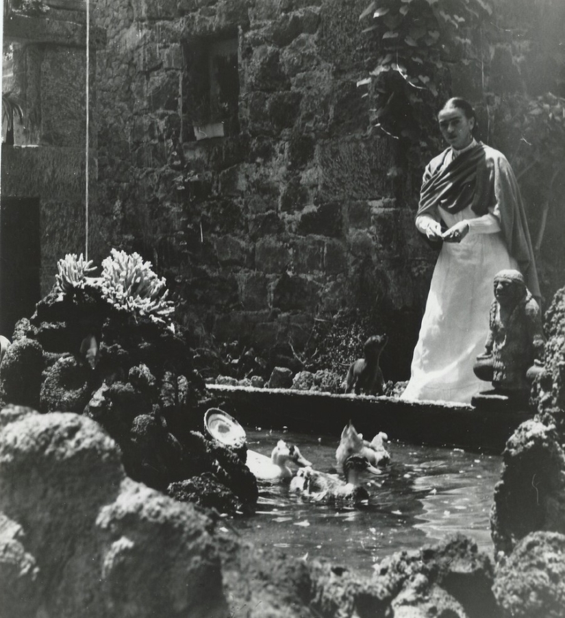 Photos and secret love letters of Frida Kahlo