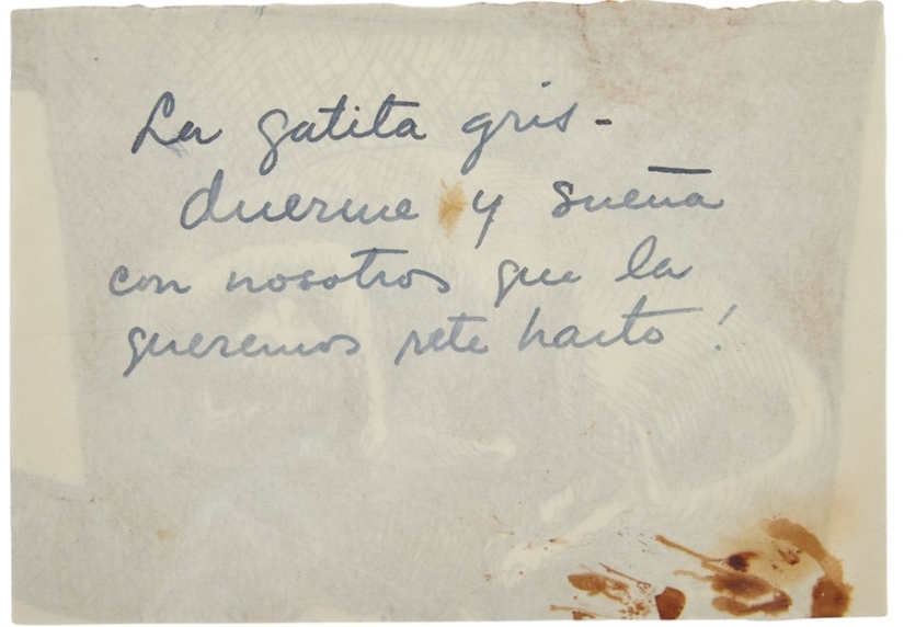 Photos and secret love letters of Frida Kahlo