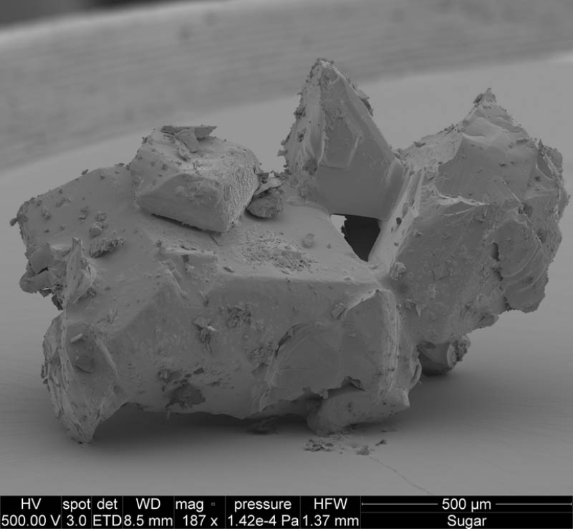 Photos taken with an electron microscope