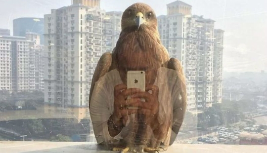 Photos that were taken at the right moment