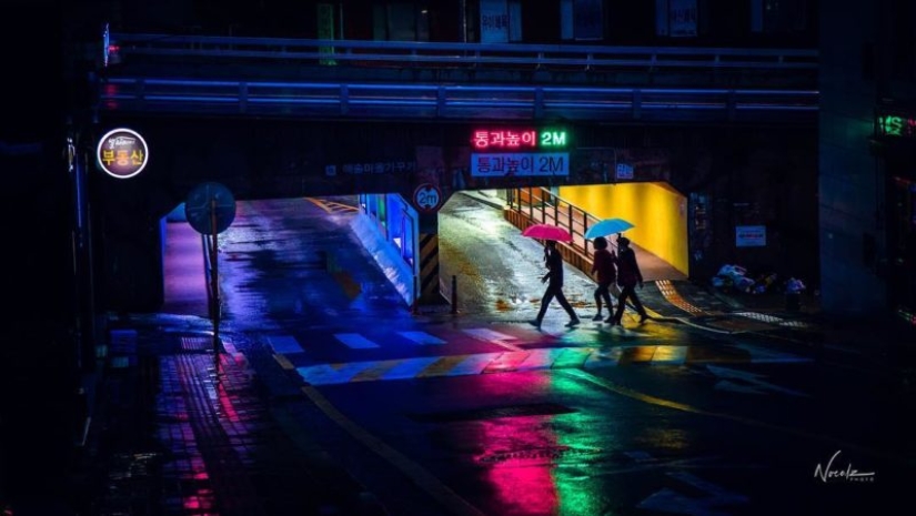 Pictures on mobile: 30 stunning pictures of rainy Seoul