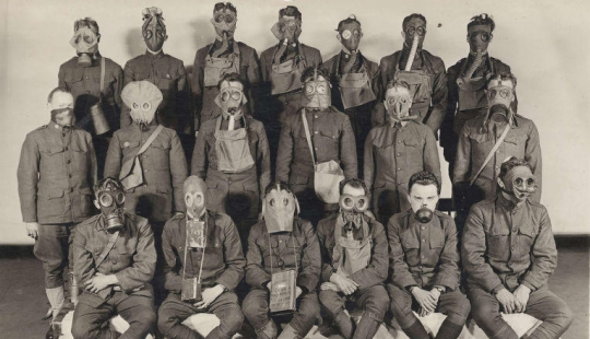 Pigeons and gas masks: the other side of the First World War