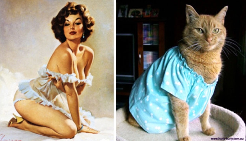 Pin-up-Girls vs cats in the fight for your love
