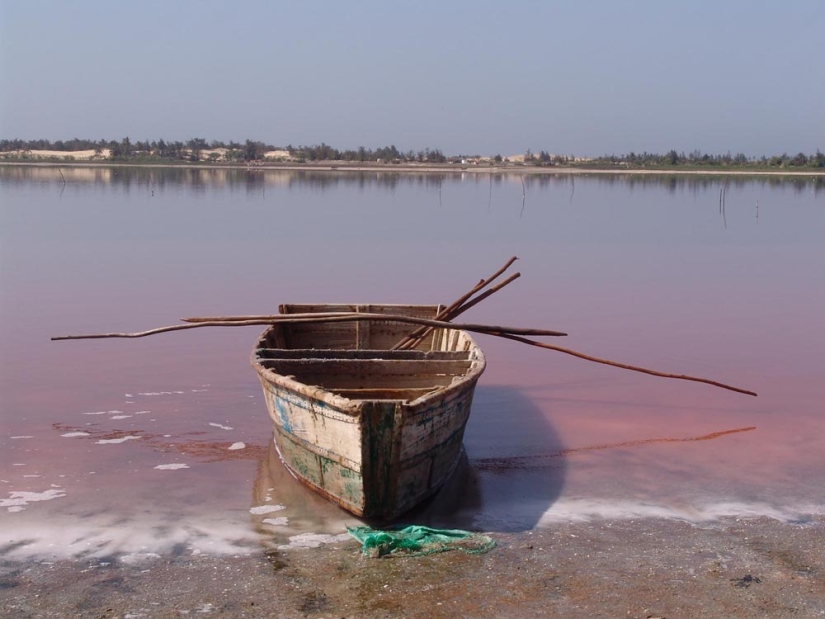Pink lake in Senegal