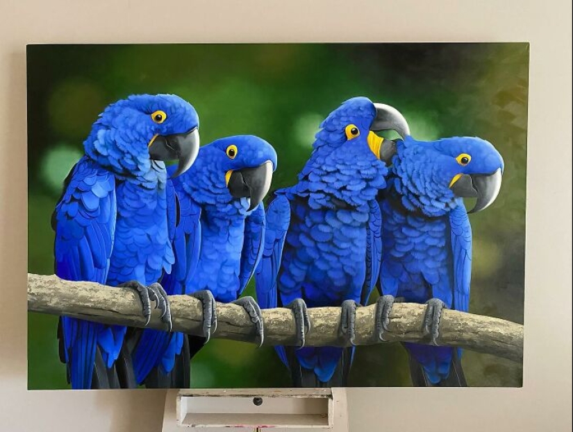 Pinturas realistas de aves de Petterson Silva