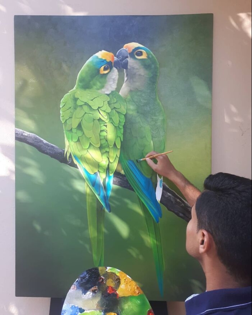 Pinturas realistas de aves de Petterson Silva