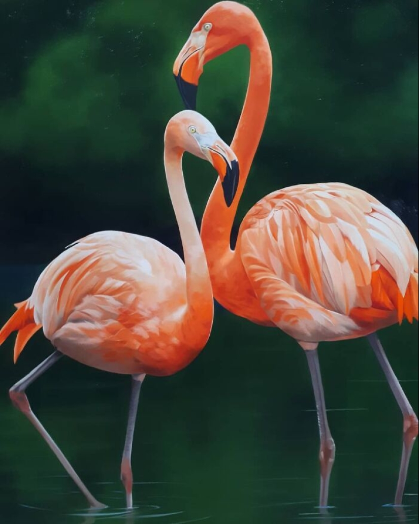 Pinturas realistas de aves de Petterson Silva