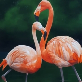 Pinturas realistas de aves de Petterson Silva