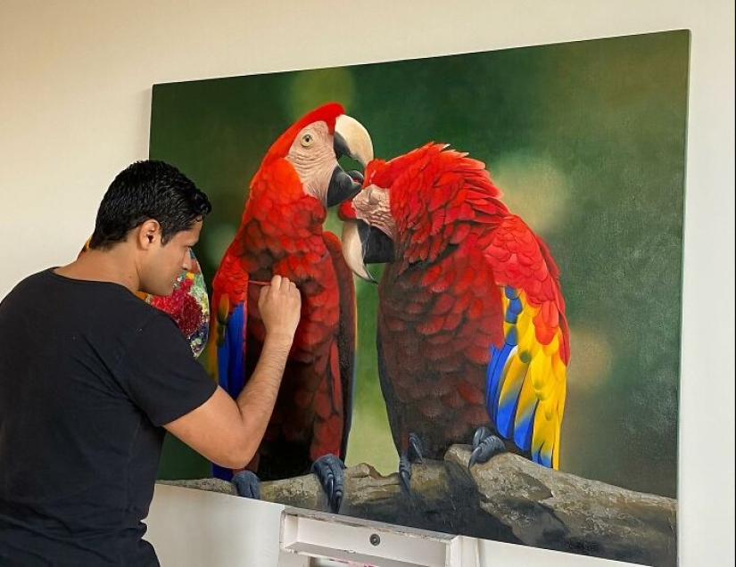 Pinturas realistas de aves de Petterson Silva