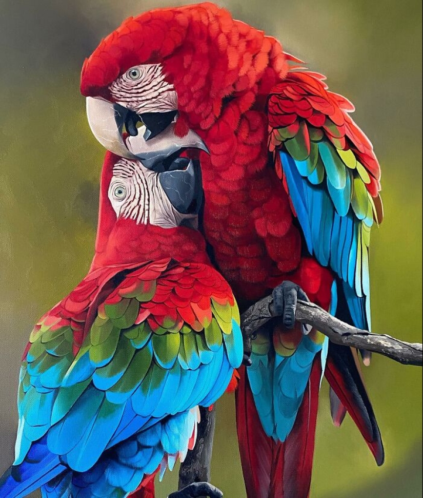 Pinturas realistas de aves de Petterson Silva