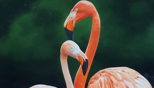 Pinturas realistas de aves de Petterson Silva