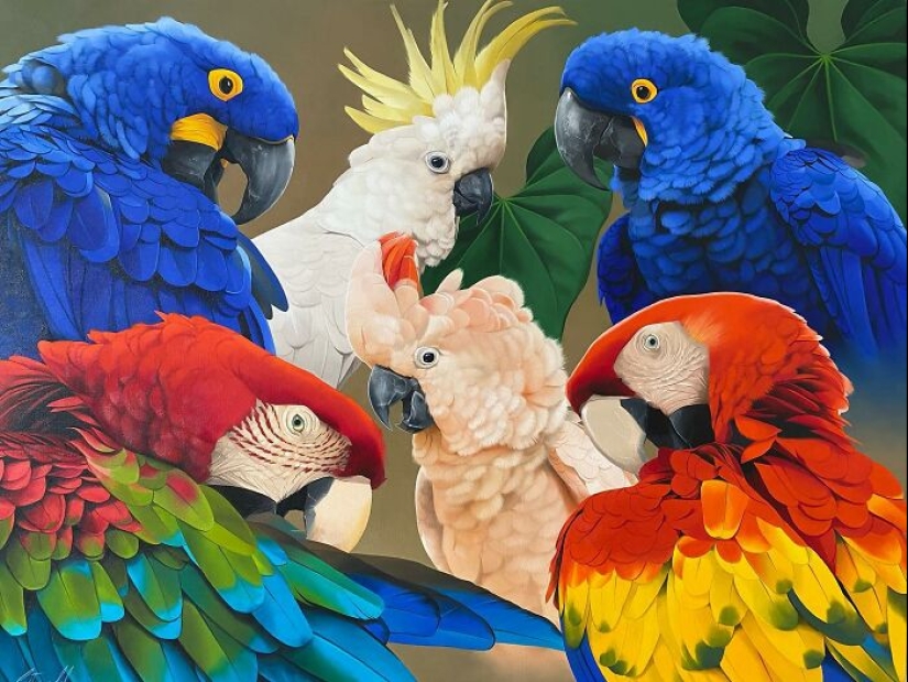 Pinturas realistas de aves de Petterson Silva