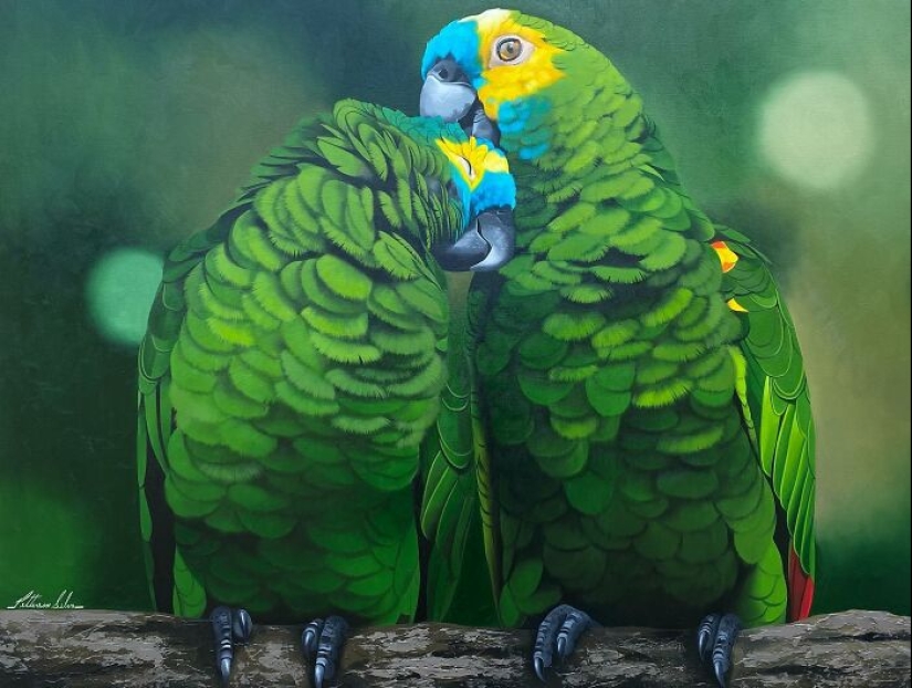 Pinturas realistas de aves de Petterson Silva