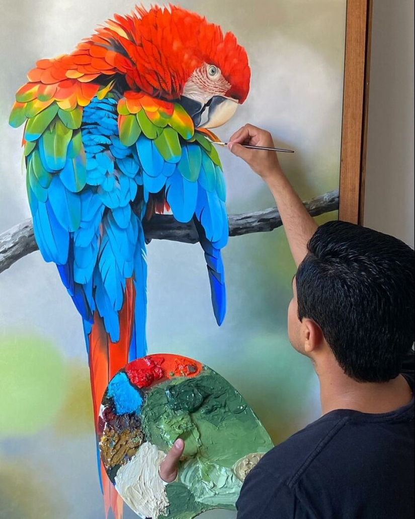 Pinturas realistas de aves de Petterson Silva