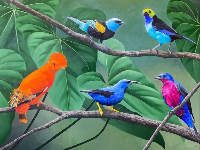 Pinturas realistas de aves de Petterson Silva