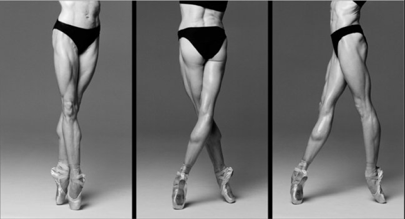 Plastic of the human body in photographs by Howard Schatz