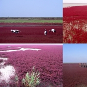 Playa Roja en China