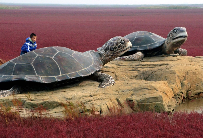 Playa Roja en China