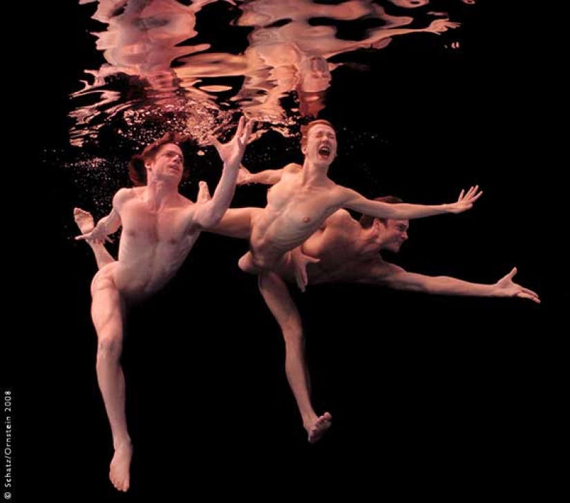 Plástico del cuerpo humano en fotografías de Howard Schatz