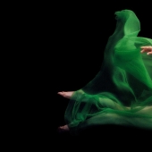 Plástico del cuerpo humano en fotografías de Howard Schatz