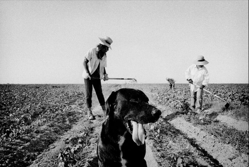 Pobreza y vanidad: el interior americano en imágenes por Matt Black