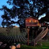 Por esta casa en el árbol renunciarás a todo y te mudarás a la Toscana