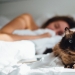 Por qué a los gatos les gusta acostarse con mujeres y no con hombres