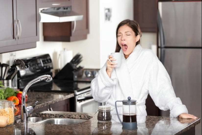 Por qué el café es regado con agua: no un capricho, sino una necesidad