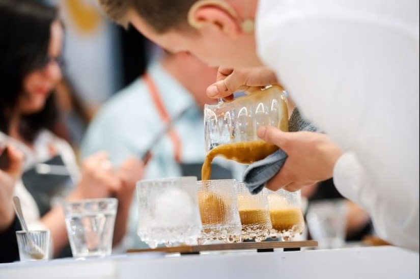 Por qué el café es regado con agua: no un capricho, sino una necesidad