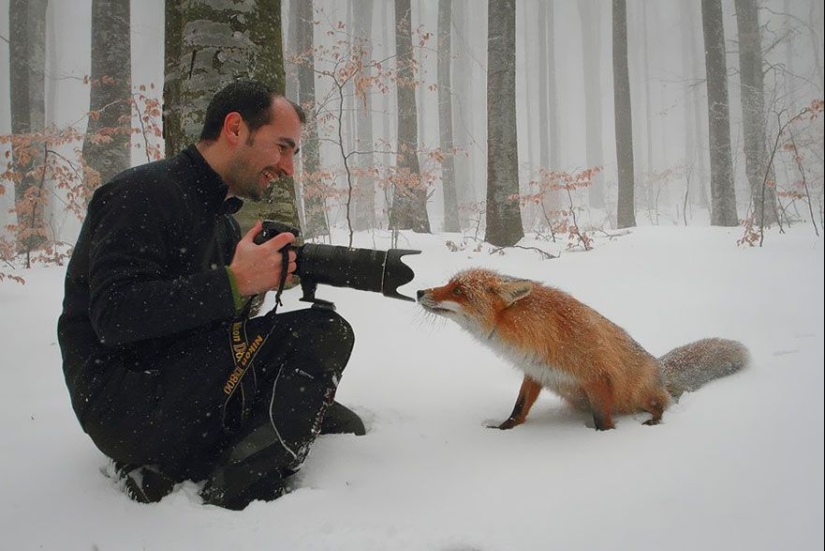 Por qué el fotógrafo de vida silvestre es el mejor trabajo del mundo